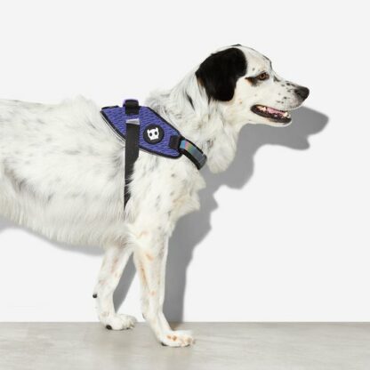 zee dog dog harness fly harness wicked main