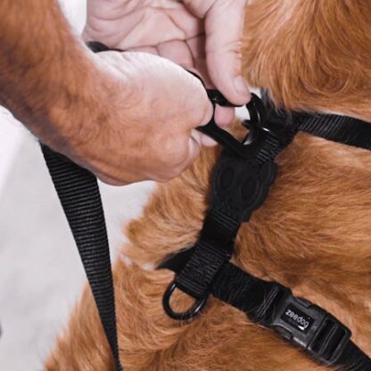 zeedog dog harness neopro tangerine main