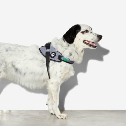 zee dog dog harness fly harness urban main